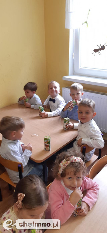 Witamy wszystkich 