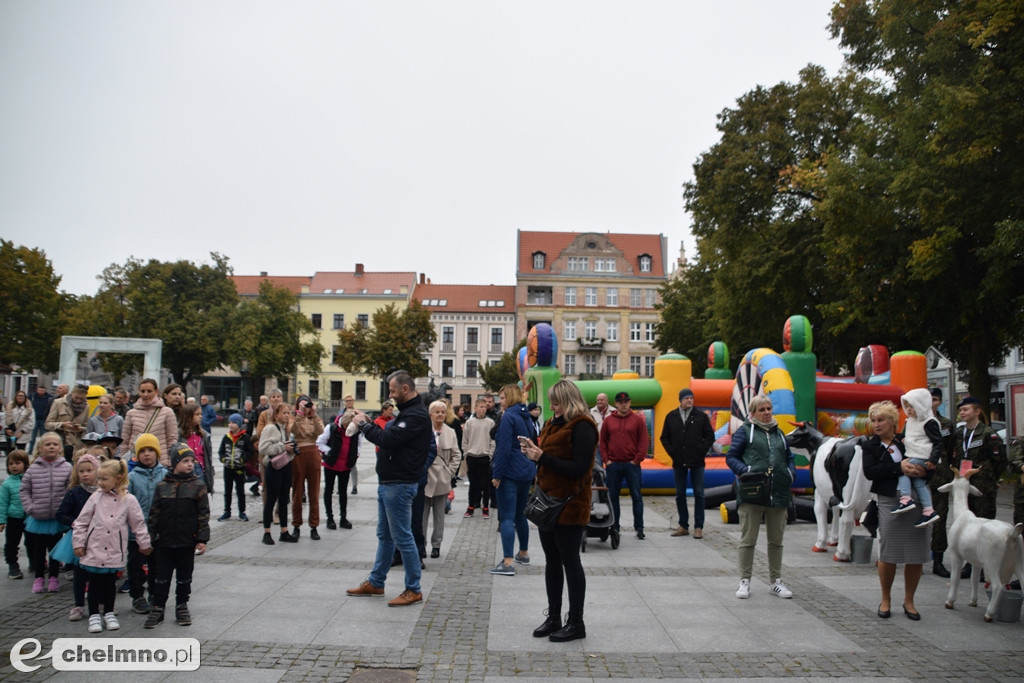 Dziś pomagaliśmy Amelce na imprezie charytatywnej