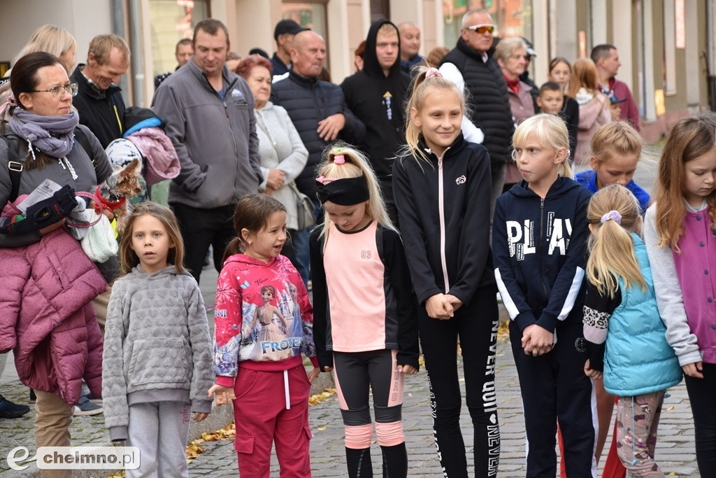 Fotogaleria z 51. Ogólnopolskich Biegów Ulicznych