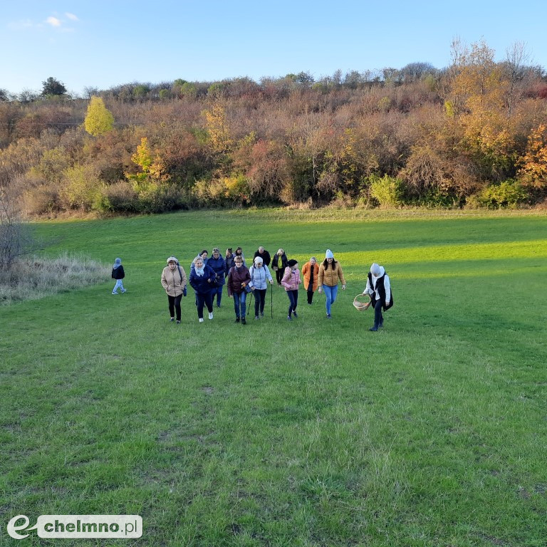 Za nami ziołowy spacer. A przed nami…