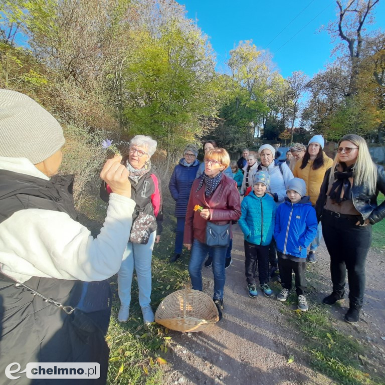 Za nami ziołowy spacer. A przed nami…