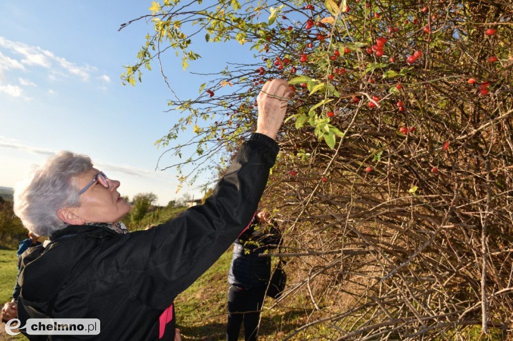 Za nami ziołowy spacer. A przed nami…