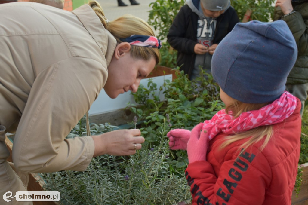 Za nami ziołowy spacer. A przed nami…