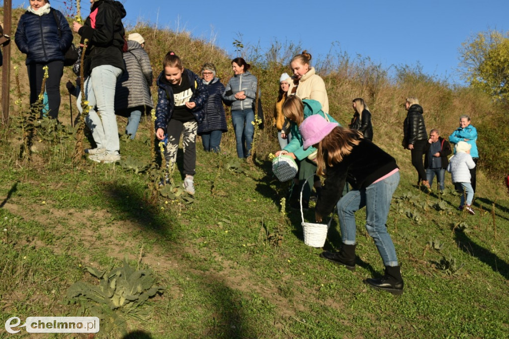 Za nami ziołowy spacer. A przed nami…