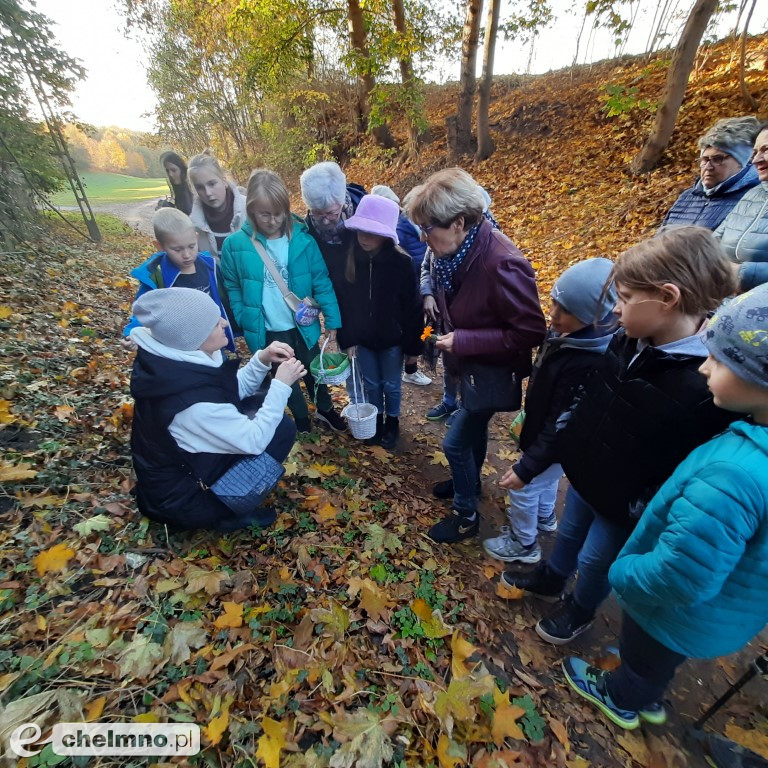 Za nami ziołowy spacer. A przed nami…