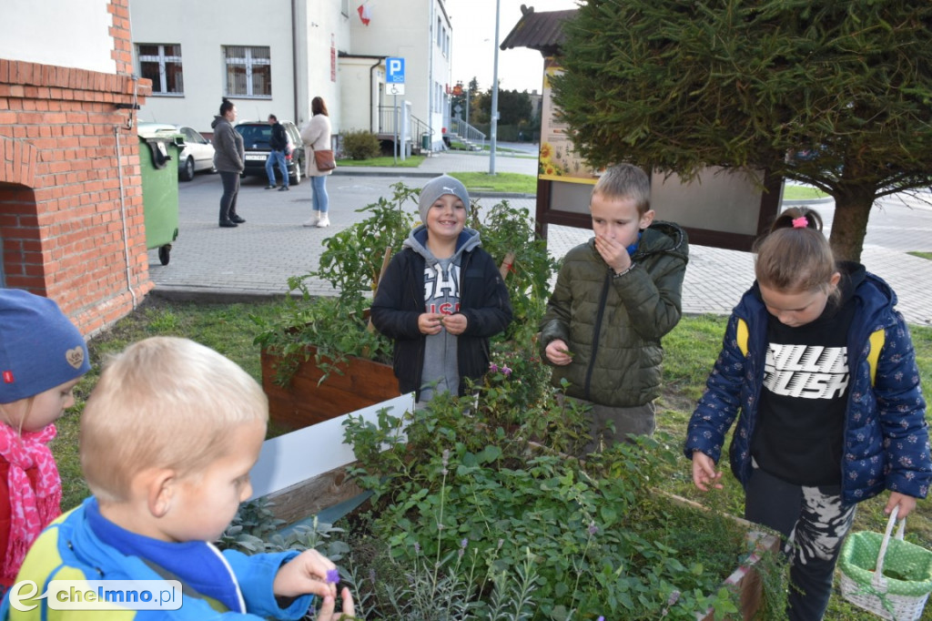 Za nami ziołowy spacer. A przed nami…