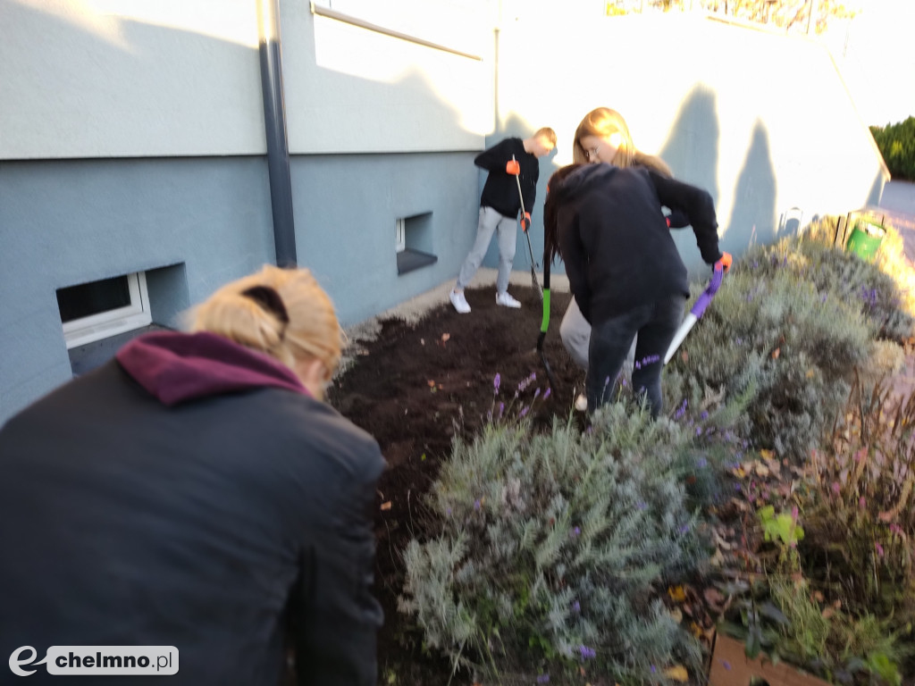 Program Równać Szanse: Projekt 