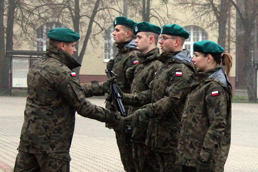Dobrowolna zasadnicza służba wojskowa