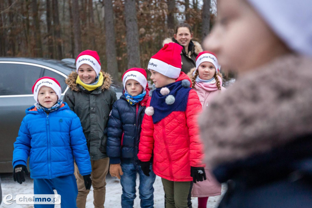 Wybraliśmy świąteczne drzewo