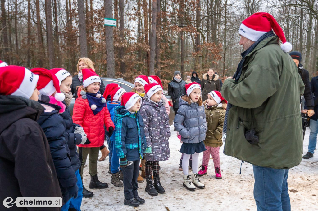 Wybraliśmy świąteczne drzewo