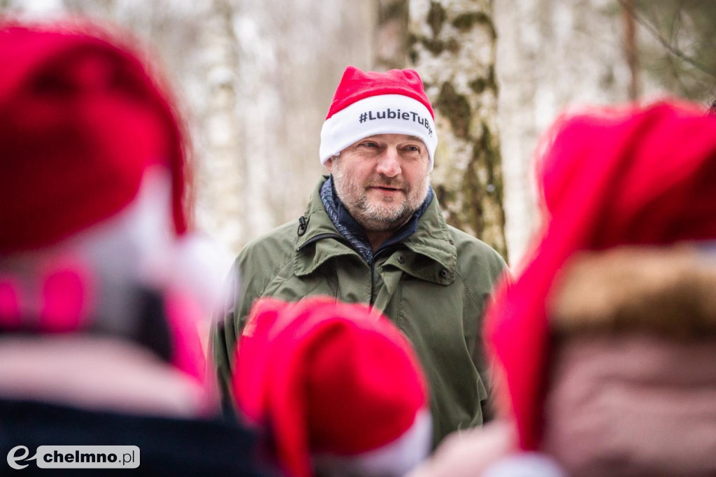 Wybraliśmy świąteczne drzewo