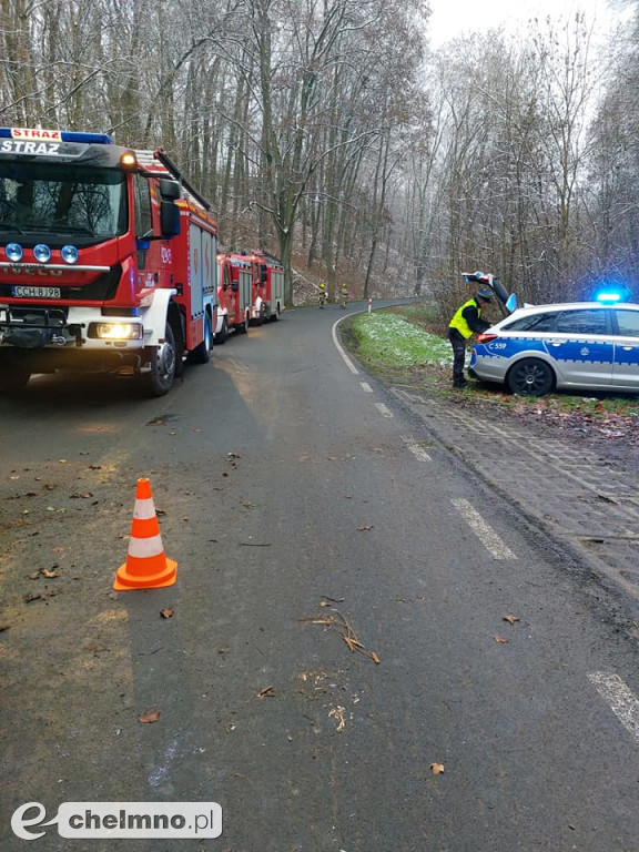 Uderzyła w drzewo i straciła przytomność...