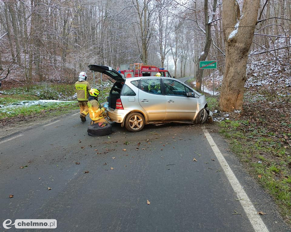 Uderzyła w drzewo i straciła przytomność...