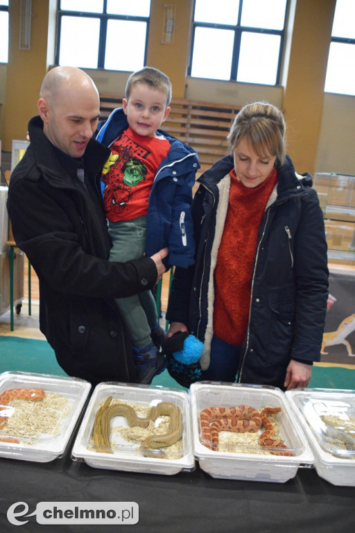 Ogromne powodzenie dzisiejszych Targów Terrarystycznych