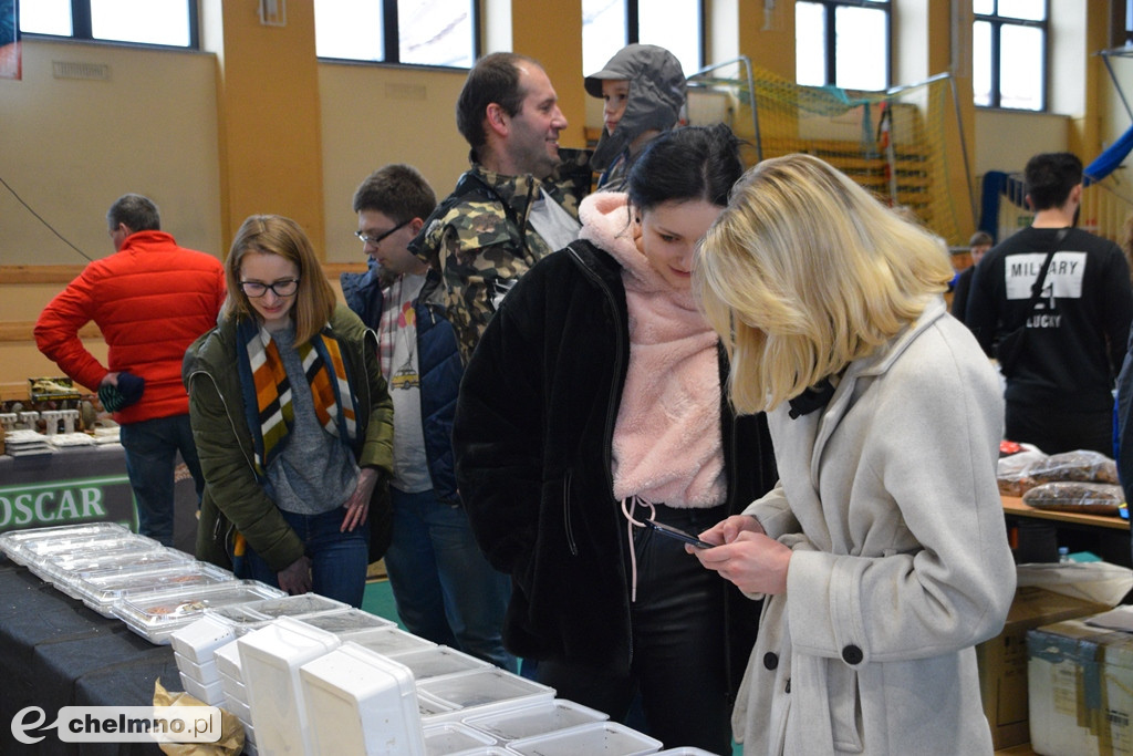 Ogromne powodzenie dzisiejszych Targów Terrarystycznych