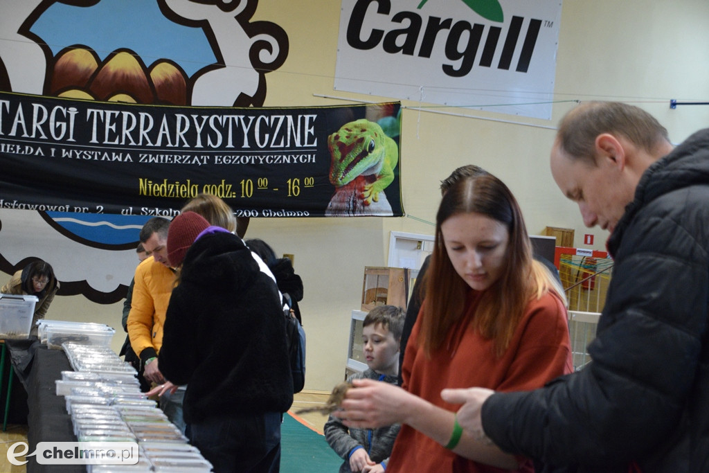 Ogromne powodzenie dzisiejszych Targów Terrarystycznych