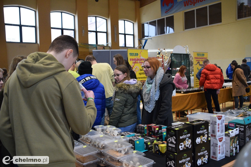 Ogromne powodzenie dzisiejszych Targów Terrarystycznych
