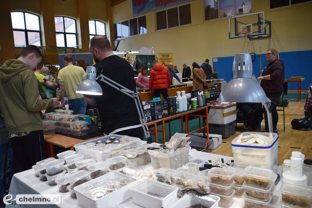 Ogromne powodzenie dzisiejszych Targów Terrarystycznych