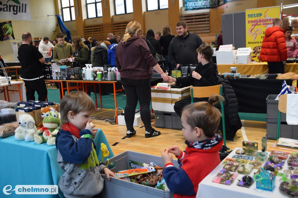 Ogromne powodzenie dzisiejszych Targów Terrarystycznych