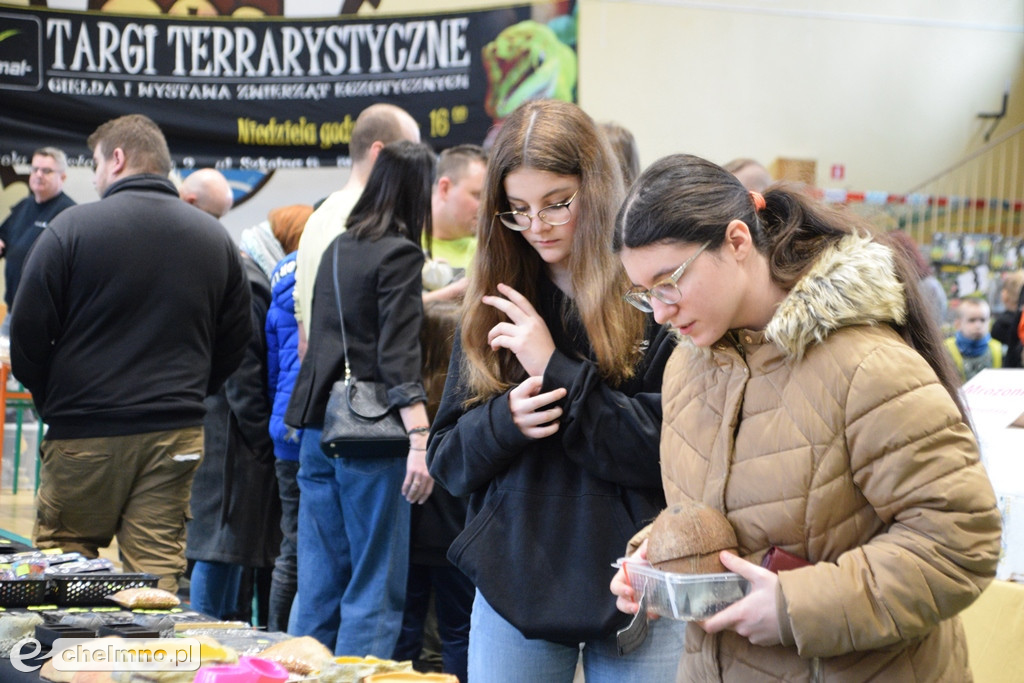 Ogromne powodzenie dzisiejszych Targów Terrarystycznych