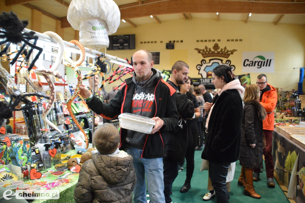 Ogromne powodzenie dzisiejszych Targów Terrarystycznych