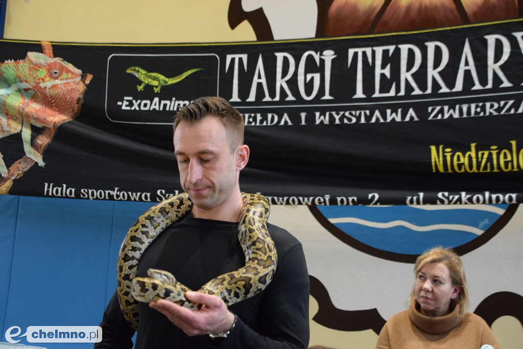 Ogromne powodzenie dzisiejszych Targów Terrarystycznych