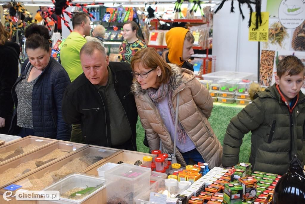 Ogromne powodzenie dzisiejszych Targów Terrarystycznych