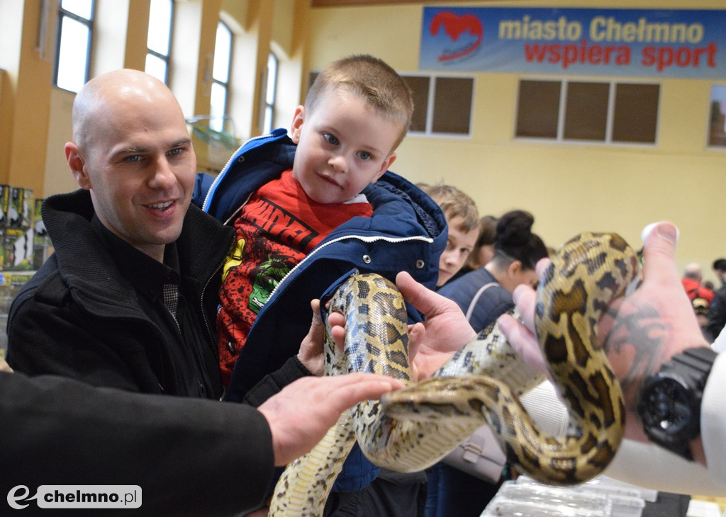 Ogromne powodzenie dzisiejszych Targów Terrarystycznych