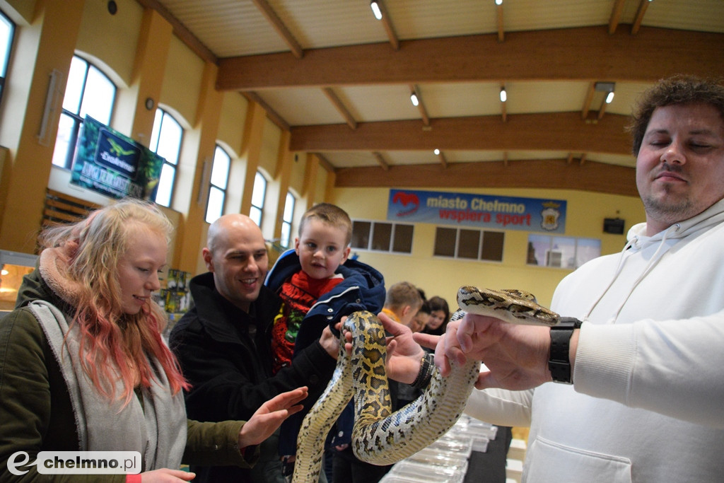 Ogromne powodzenie dzisiejszych Targów Terrarystycznych