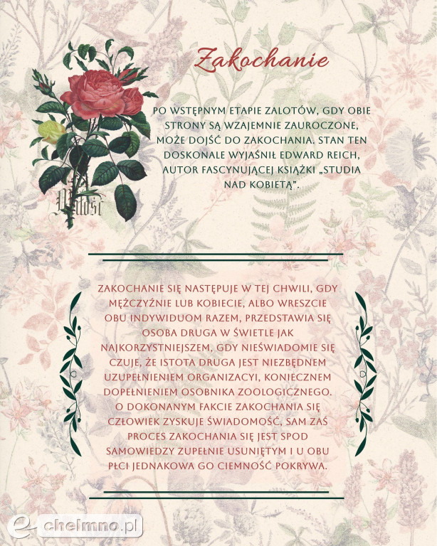 Wystawa plenerowa 