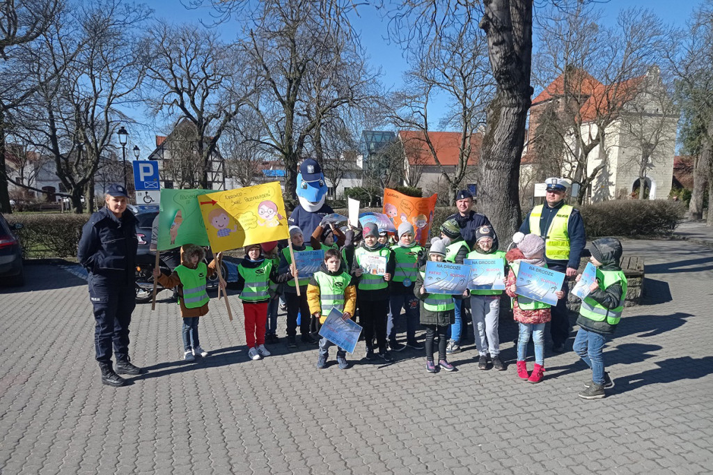 Polfin uczył dzieci w Chełmnie przechodzić przez jezdnię