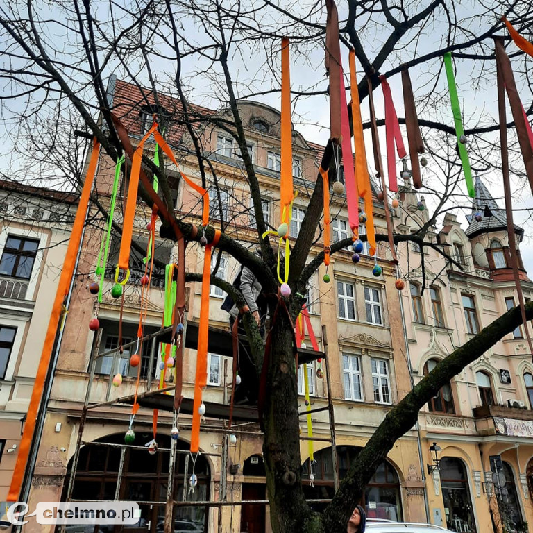 Tak było na wielkanocnej akcji dekorowania drzewka na Rynku