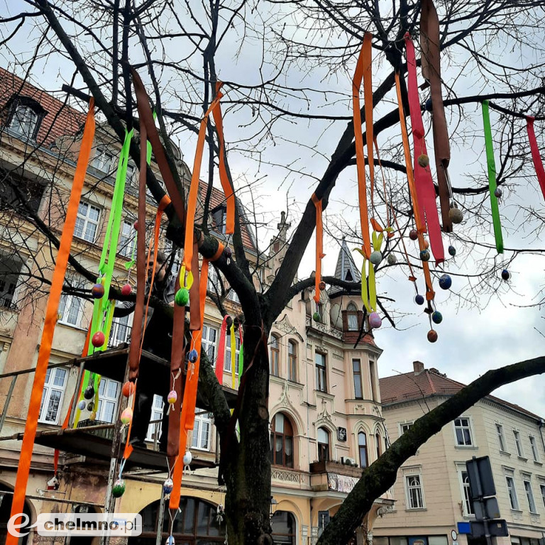 Tak było na wielkanocnej akcji dekorowania drzewka na Rynku