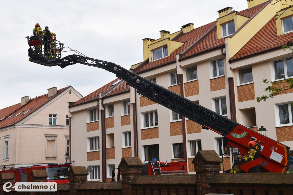 Kilka zastępów straży pożarnej w chełmińskiej FARZE