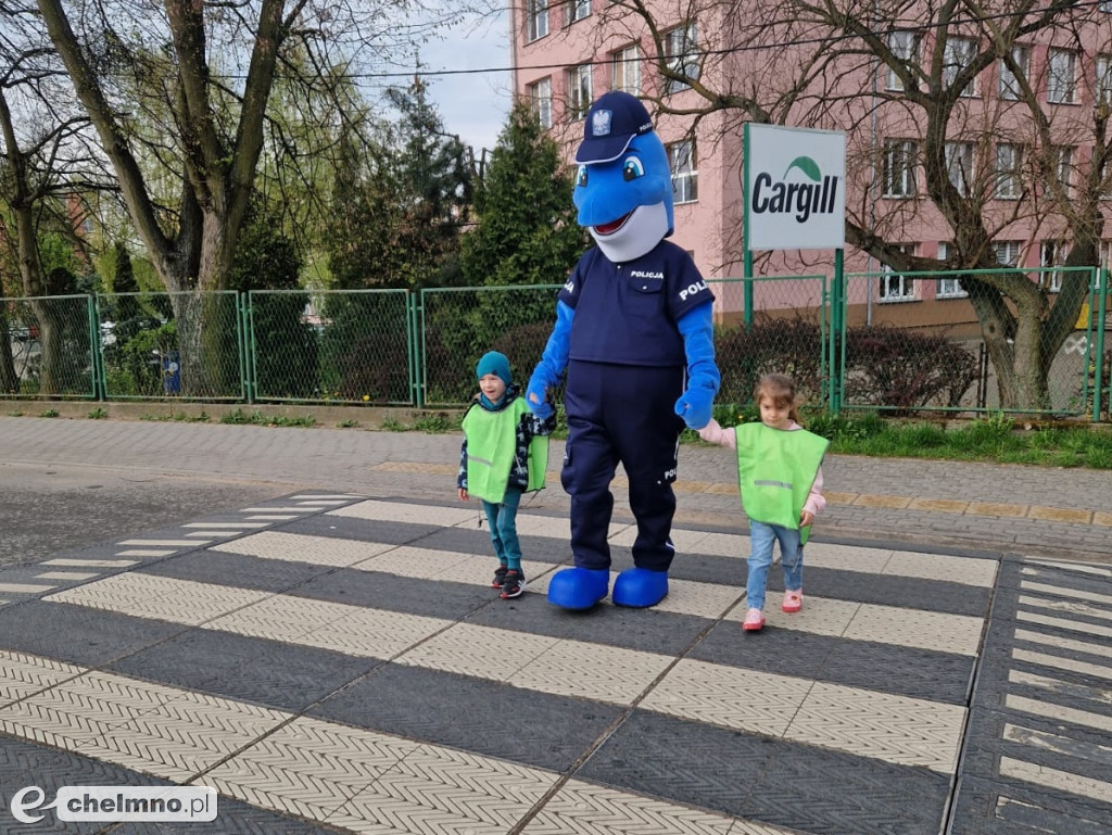 Bezpieczne przejście z Polfinem