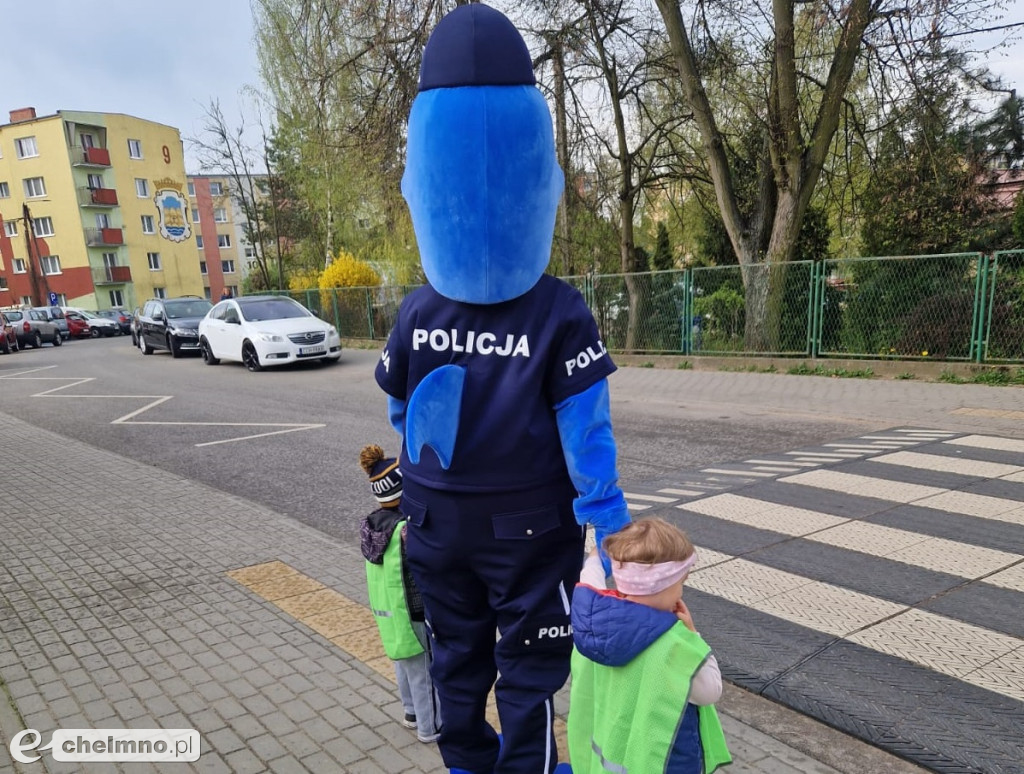 Bezpieczne przejście z Polfinem