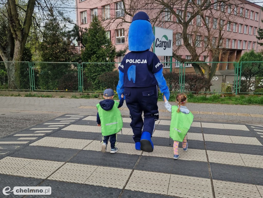 Bezpieczne przejście z Polfinem