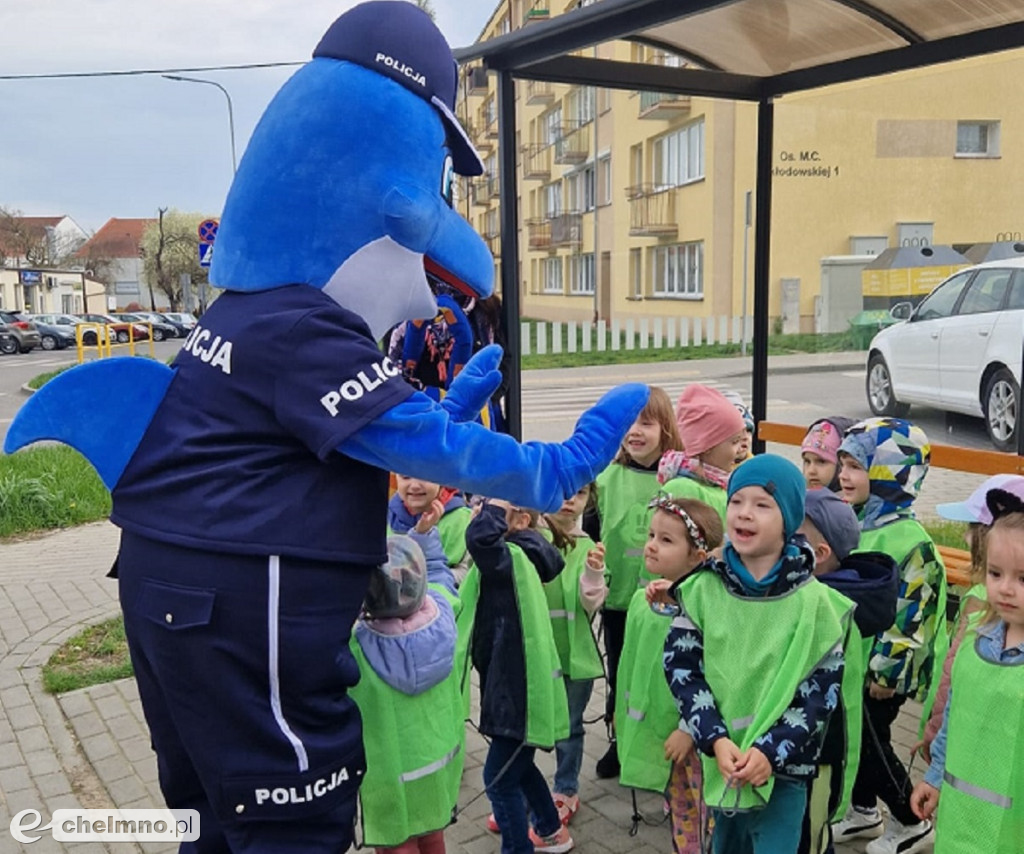 Bezpieczne przejście z Polfinem