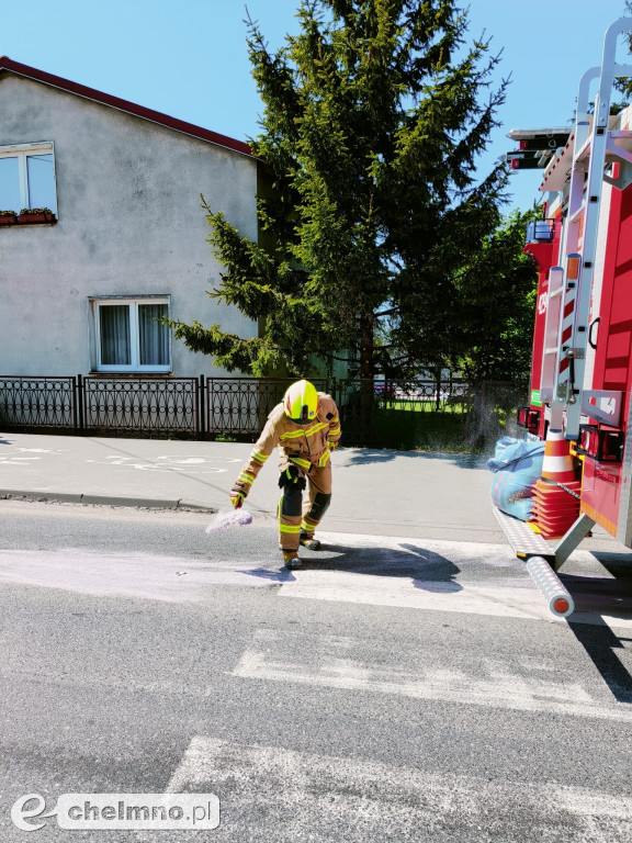 Strażacy z Unisławia mieli ręce pełne roboty