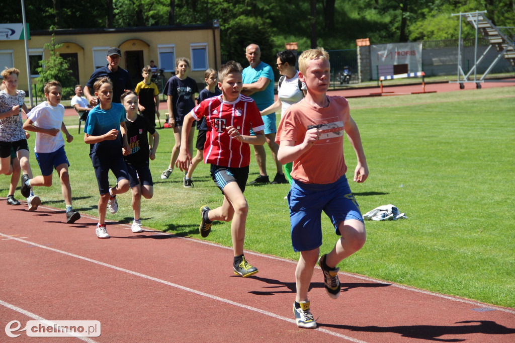 Czwartek Lekkoatletyczny w Chełmnie [galeria]