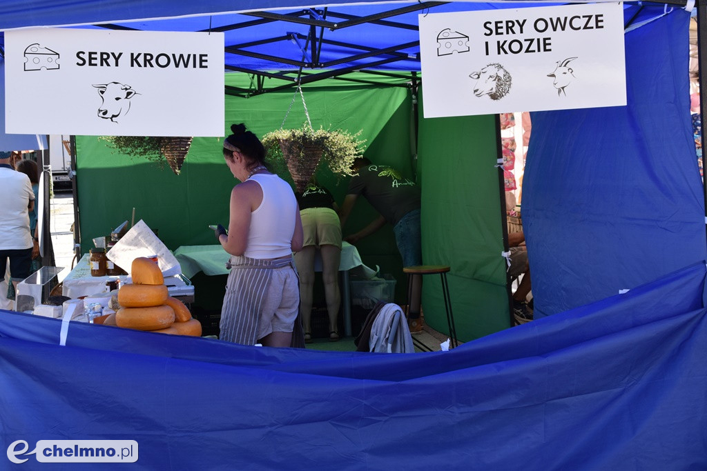 Zajrzyjcie na Jarmark Jaszczurczy - dla każdego coś ciekawego