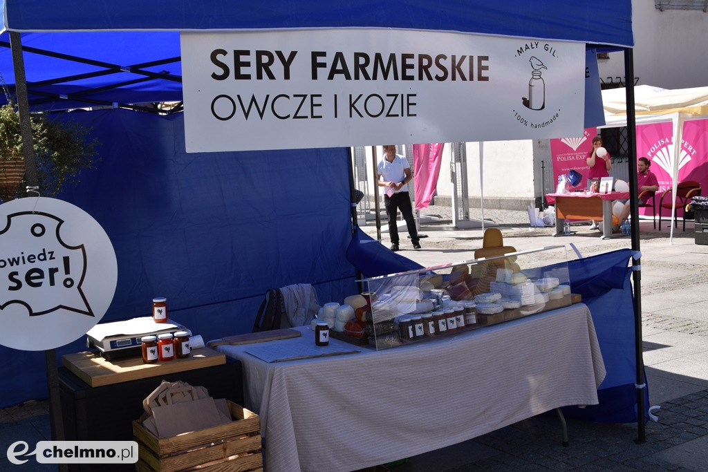 Zajrzyjcie na Jarmark Jaszczurczy - dla każdego coś ciekawego