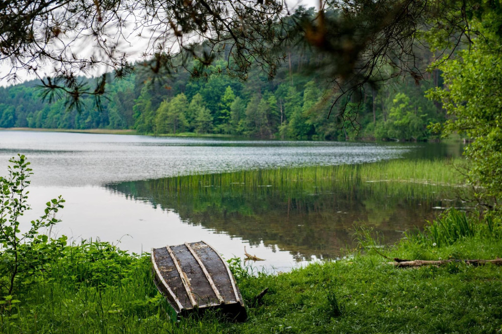 Brodnicki Park Krajobrazowy - raj dla aktywnych miłośników przyrody