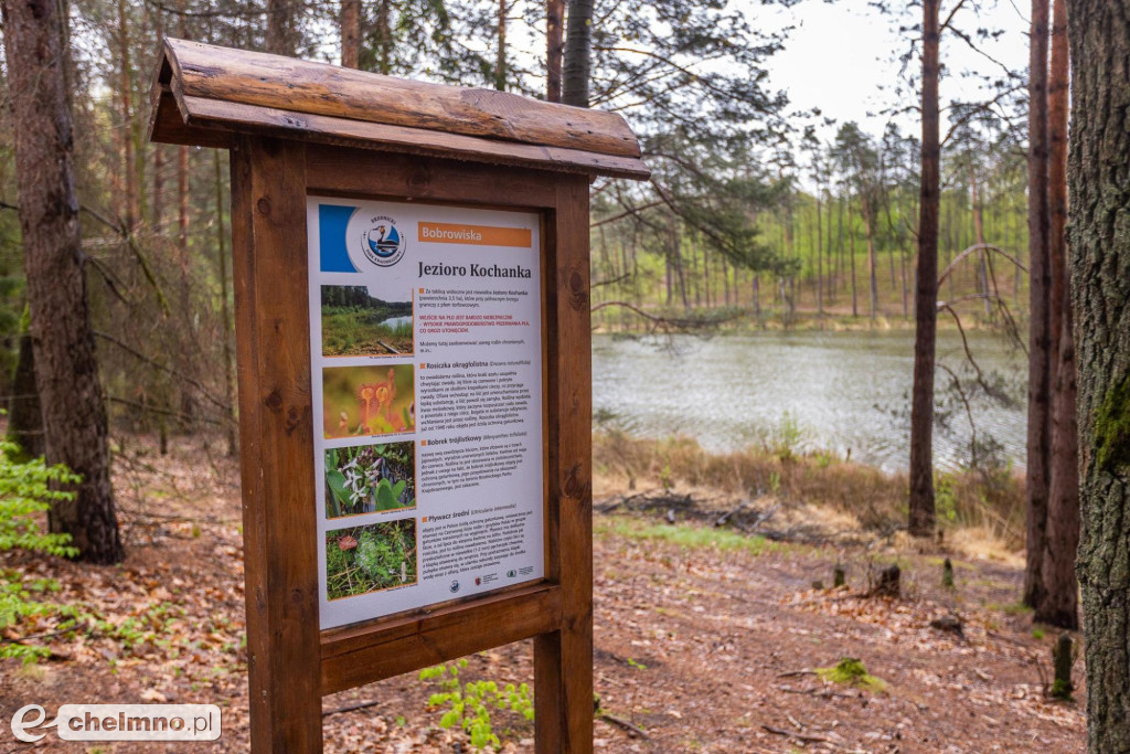 Brodnicki Park Krajobrazowy - raj dla aktywnych miłośników przyrody