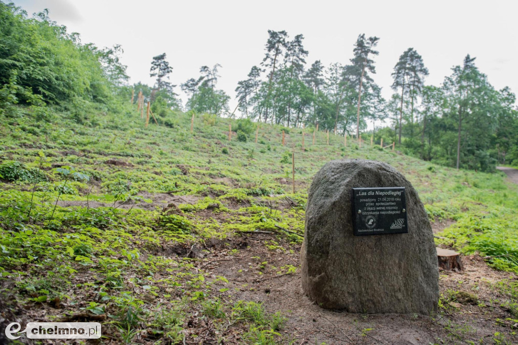 Brodnicki Park Krajobrazowy - raj dla aktywnych miłośników przyrody