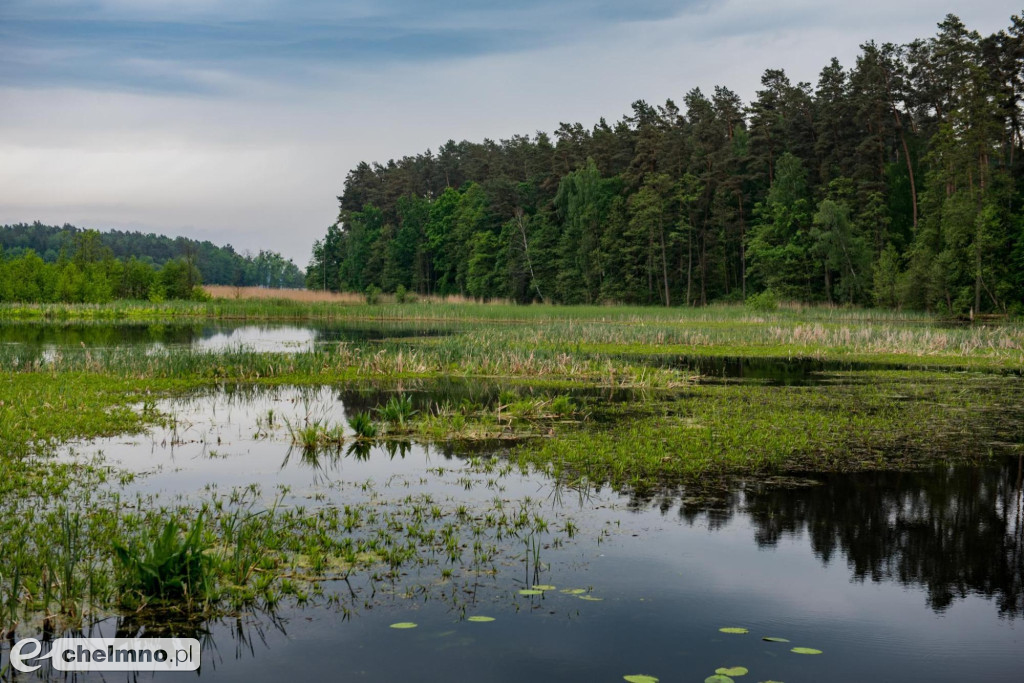 Brodnicki Park Krajobrazowy - raj dla aktywnych miłośników przyrody