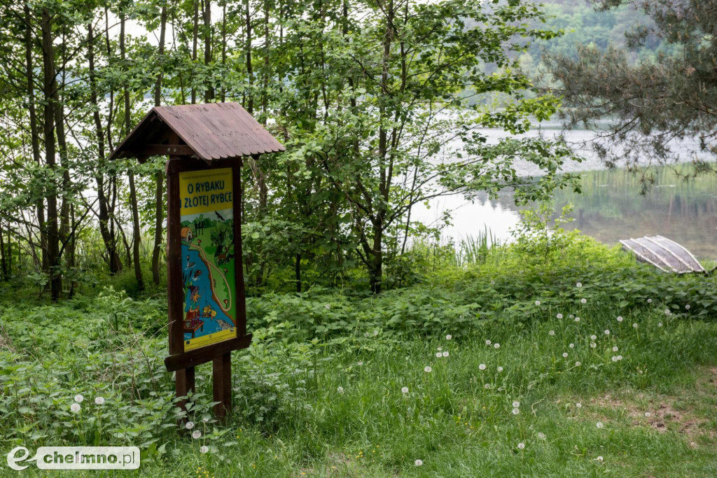 Brodnicki Park Krajobrazowy - raj dla aktywnych miłośników przyrody