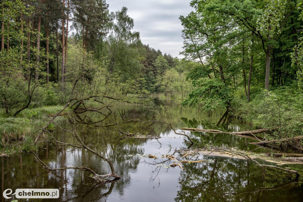 Brodnicki Park Krajobrazowy - raj dla aktywnych miłośników przyrody