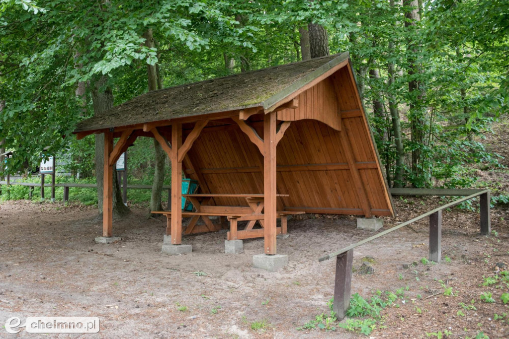 Brodnicki Park Krajobrazowy - raj dla aktywnych miłośników przyrody