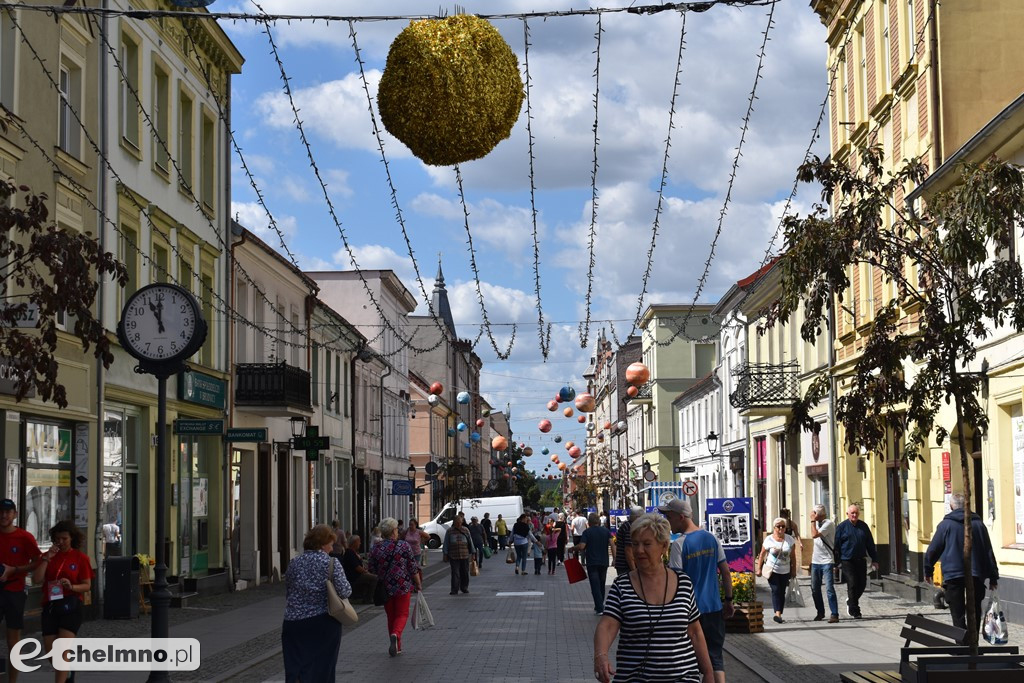 Czy widzieliście już wystawę na ul. Grudziądzkiej?